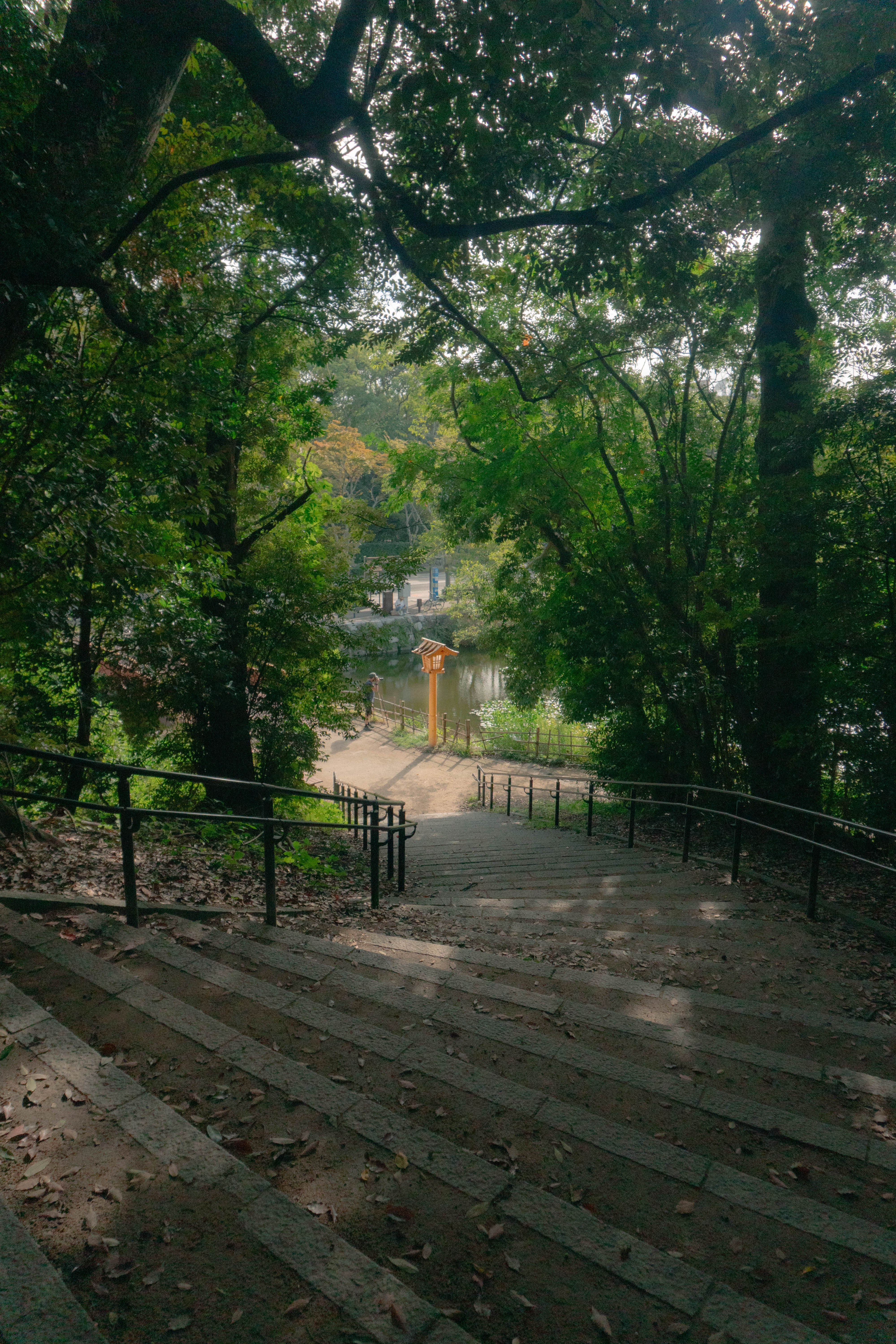 Ohari park picture 4